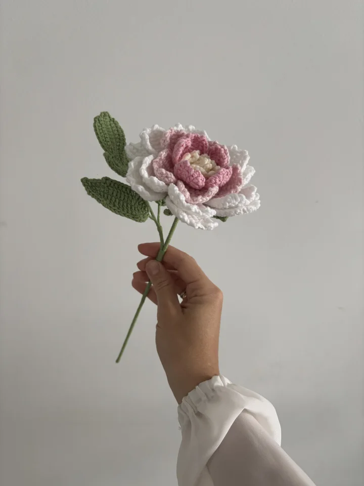 Piwonia