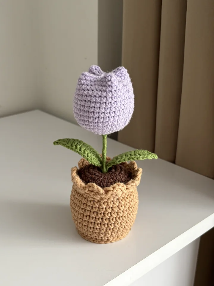 Tulipanek w mini doniczce