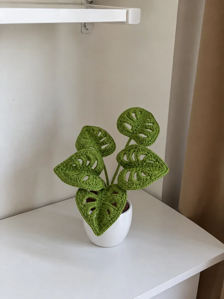 Mini Monstera